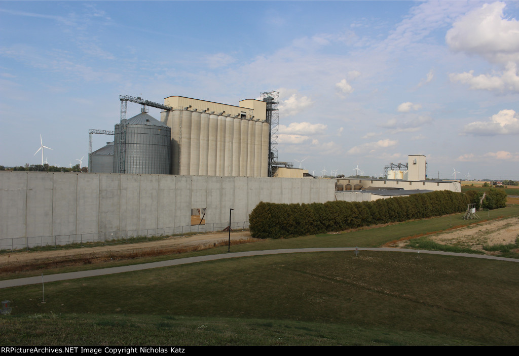 Cooperative Elevator Pigeon Bean Plant